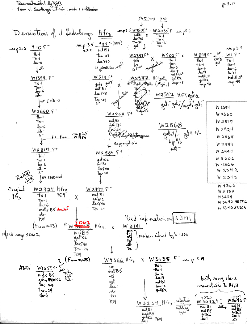 X20 BJBachmann Reconstruction p3.12